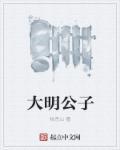 大明公子是哪个宫殿遗址