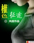宦海之途