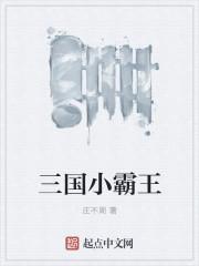 三国小霸王孙吴