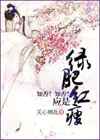 知否知否应是绿肥红瘦明兰大婚