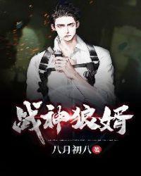 战神狼婿叶新林清雪完整版