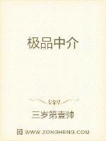 极品中介全文阅读