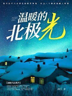 温暖的北极光在线阅读