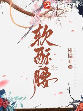 娇妾媚骨生香讲的啥