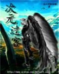 次元过客魔卡属性