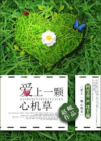 爱上心机女我该怎么办