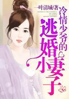 冷情邪少小逃妻