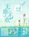 无婚是什么意思